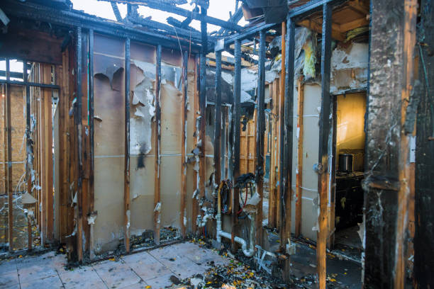 Professional Fire Damage Removal technician working in Chevy Chase View, MD